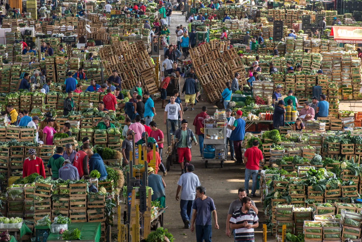 Workers at the Companhia de Entrepostos e Armazéns Gerais de São Paulo ( CEAGESP ). The CEAGESP is the wholesale food market was created in May 1969.