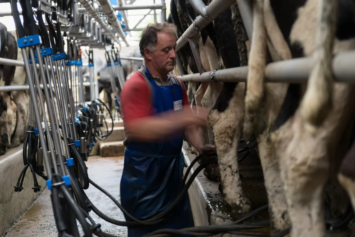 Liam, a farmer takes care of about 80 cows in County Kerry, Ireland.