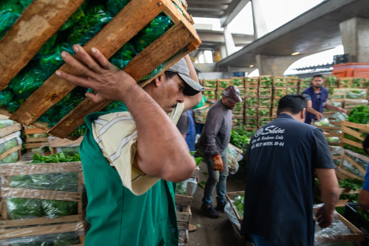 Workers at the Companhia de Entrepostos e Armazéns Gerais de São Paulo ( CEAGESP ). The CEAGESP is the wholesale food market was created in May 1969.