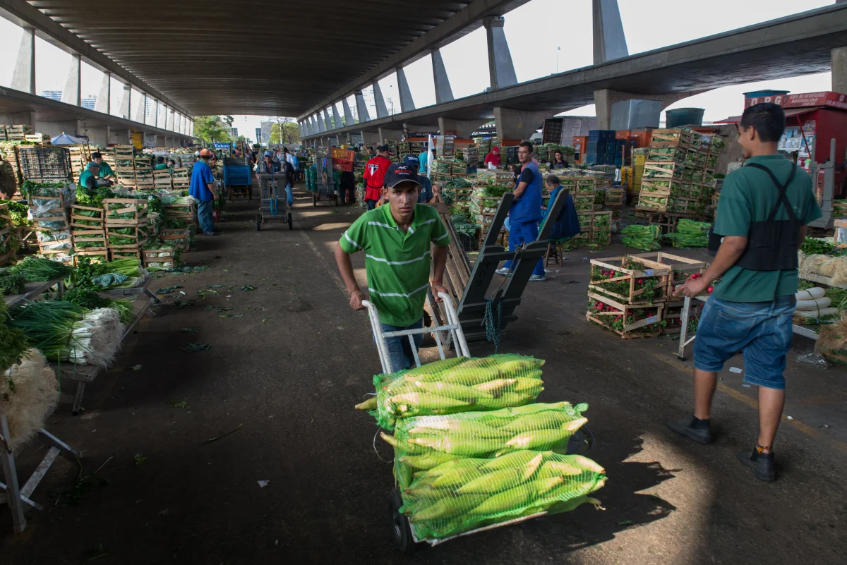 Workers at the Companhia de Entrepostos e Armazéns Gerais de São Paulo ( CEAGESP ). The CEAGESP is the wholesale food market was created in May 1969.